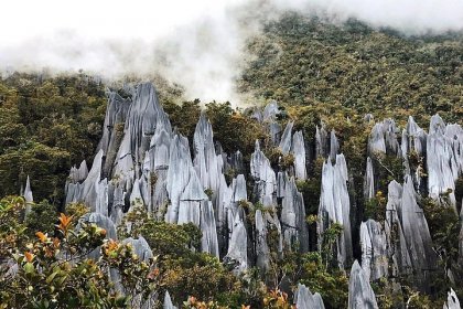 Pinnacles, in het Mulu National Park