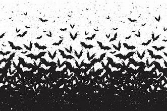 Vleermuizen op drift