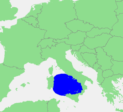 Tyrreense zee